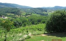 Fotos enviadas por los huéspedes de San Pierino