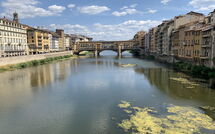 Fotos enviadas por los huéspedes de Ginestra Fiorentina 110