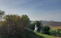 Fotos enviadas por los huéspedes de Chiusi 607