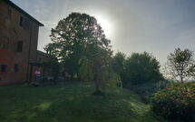 Fotos enviadas por los huéspedes de Chiusi 607