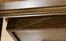 Fotos enviadas por los huéspedes de La Cipressa