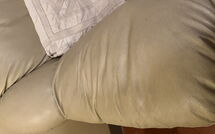 Fotos enviadas por los huéspedes de La Cipressa