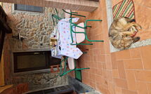 Fotos enviadas por los huéspedes de Casa Milena