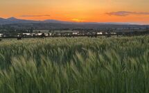 Fotos enviadas por los huéspedes de Poggio Falcone