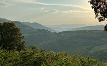 Fotos enviadas por los huéspedes de Villa Crispinino