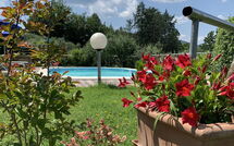 Fotos enviadas por los huéspedes de Il Sangiovese