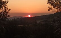 Fotos enviadas por los huéspedes de Villa Giotto