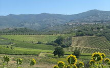 Fotos enviadas por los huéspedes de Il Leccio