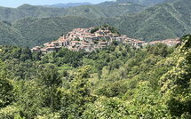 Fotos enviadas por los huéspedes de Broccolo