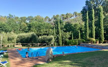 Fotos enviadas por los huéspedes de Broccolo