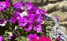 Fotos enviadas por los huéspedes de Villa Marina