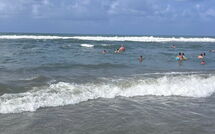 Fotos enviadas por los huéspedes de Al Magliano