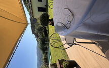 Fotos enviadas por los huéspedes de Orangerie degli Ulivi