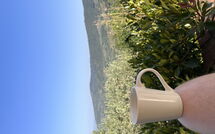 Fotos enviadas por los huéspedes de Orangerie degli Ulivi