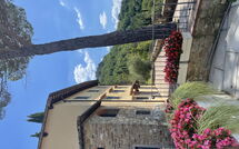 Fotos enviadas por los huéspedes de Il Gheppio