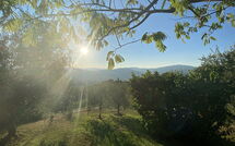 Fotos enviadas por los huéspedes de Il Circolo