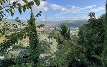 Fotos enviadas por los huéspedes de La Rosa