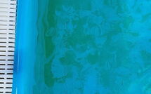 Fotos enviadas por los huéspedes de Tenuta di Campagliana