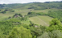 Fotos enviadas por los huéspedes de Camporempoli