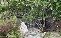 Fotos enviadas por los huéspedes de Villa Ancora