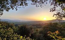 Fotos enviadas por los huéspedes de Poggiolo