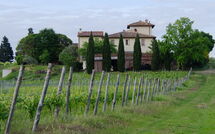 Fotos enviadas por los huéspedes de Tavarnelle Val di Pesa 617