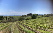 Fotos enviadas por los huéspedes de Tavarnelle Val di Pesa 617