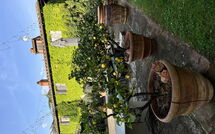 Fotos enviadas por los huéspedes de Podere la Torre