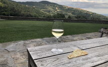 Fotos enviadas por los huéspedes de Tenuta Pomona