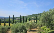 Fotos enviadas por los huéspedes de Tenuta Il Tresto