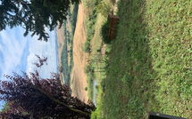 Fotos enviadas por los huéspedes de Lajatico 602