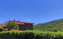 Fotos enviadas por los huéspedes de La Casa del Nonno