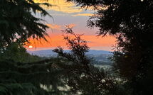 Fotos enviadas por los huéspedes de Villa Camelia