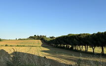 Fotos enviadas por los huéspedes de Villa Camelia