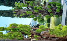 Fotos enviadas por los huéspedes de Poggio Falcone