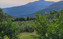 Fotos enviadas por los huéspedes de Casale Fonte