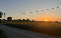 Fotos enviadas por los huéspedes de Villa Cantagallo