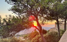 Fotos enviadas por los huéspedes de Podere Santa Lucia