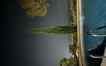 Fotos enviadas por los huéspedes de Villino Alba