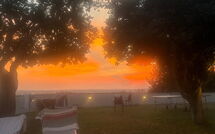 Fotos enviadas por los huéspedes de Massarosa Front Lake, the Gargoyles