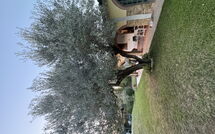 Fotos enviadas por los huéspedes de Villa Il Cipresso