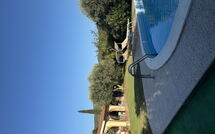 Fotos enviadas por los huéspedes de Villa Il Cipresso