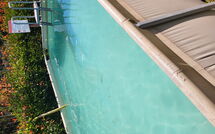 Fotos enviadas por los huéspedes de Villetta Luciana