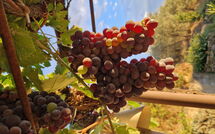 Fotos enviadas por los huéspedes de San Eusebio