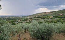 Fotos enviadas por los huéspedes de San Eusebio