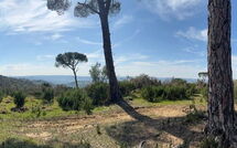 Fotos enviadas por los huéspedes de Dependance di Villa Magna