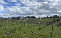 Fotos enviadas por los huéspedes de Dependance di Villa Magna