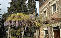 Fotos enviadas por los huéspedes de Policleto