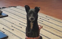 Fotos enviadas por los huéspedes de I Tre Castagni