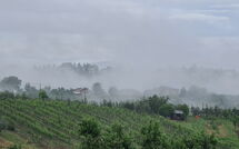 Fotos enviadas por los huéspedes de Pozzo dei Desideri